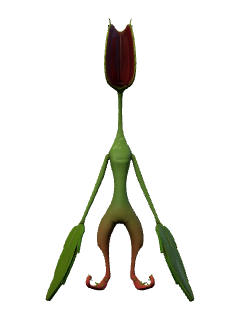 Pitcher Dude